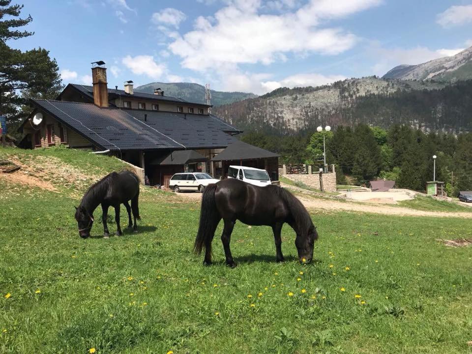 Hotel Snjezna Kuca - Nature Park Of Bosnia Herzegovina Padezina Eksteriør billede